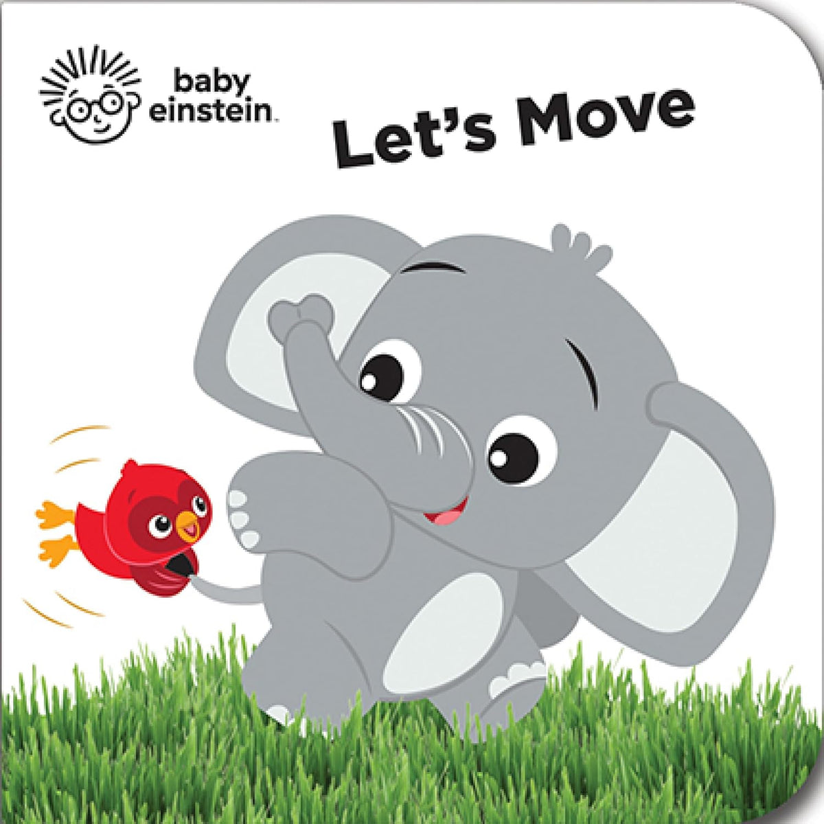 Baby Einstein - My First Library Board Book Block 12-Book Set - First Words, Letters, Counting, and More! - PI Kids